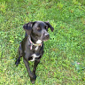 Meet your Posher, Amara